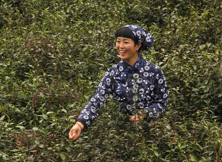 更新13